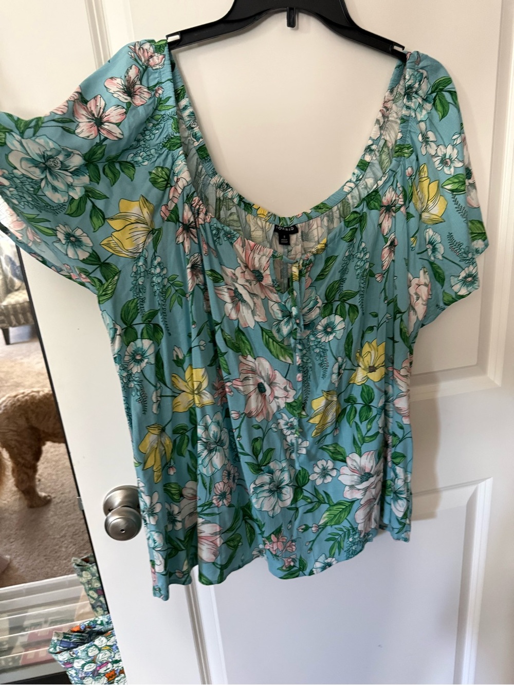 Torrid Women’s Floral Scoop Neck Blouse - Light Blue